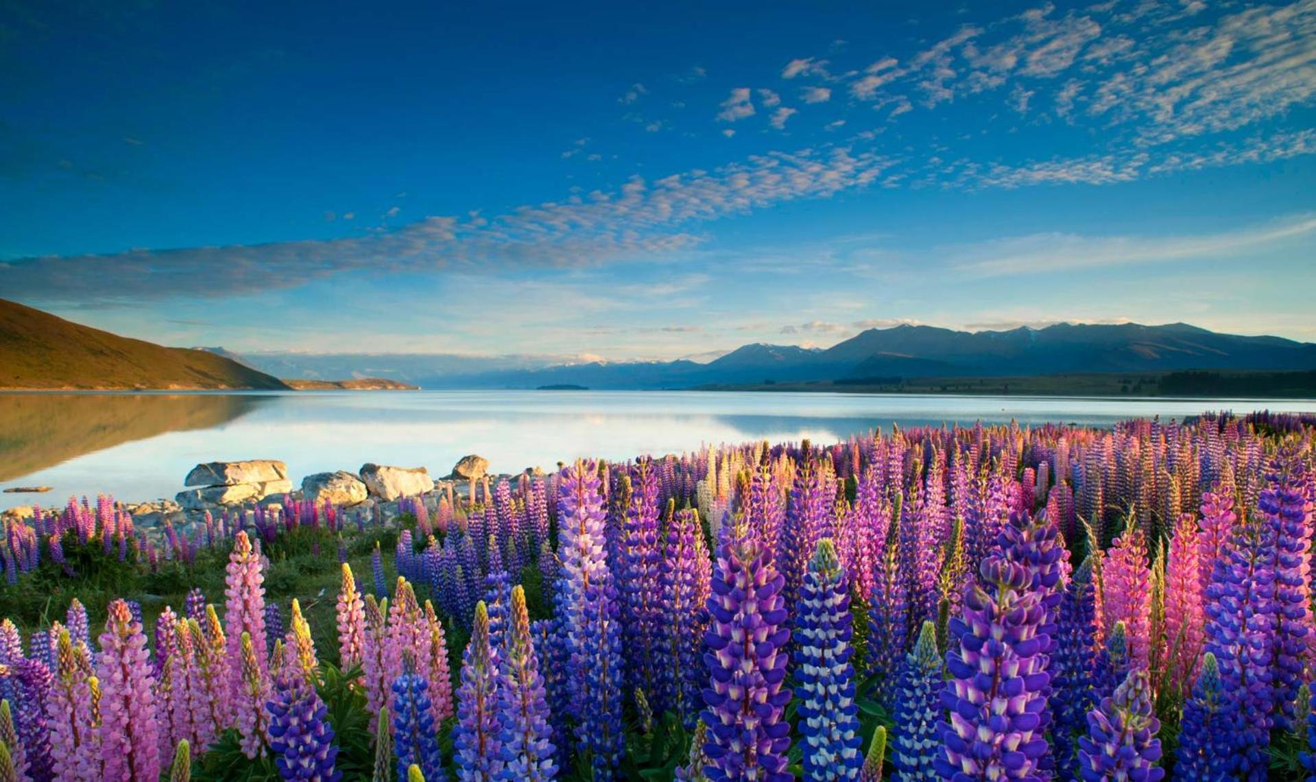 Tekapo1929 Lakefront Villa Lac Tekapo Extérieur photo
